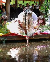 Ritual for Aoi festival in Kyoto