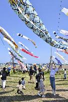Carp streamers in quake-hit Ishikawa Pref. city