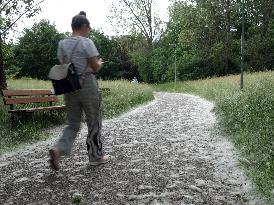 The Pollen Season Has Begun - Italy