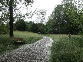 The Pollen Season Has Begun - Italy