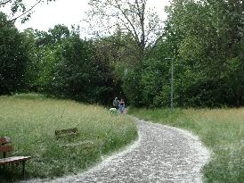 The Pollen Season Has Begun - Italy