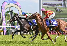 Horse racing: Redentor claims spring Tenno-sho