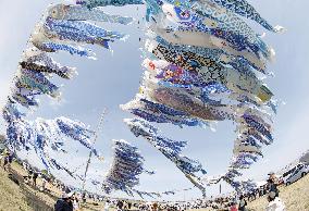 Carp streamers in tsunami-hit city