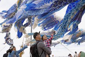Carp streamers in tsunami-hit city
