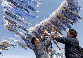 Carp streamers in tsunami-hit city