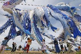 Carp streamers in tsunami-hit city