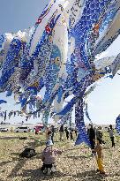 Carp streamers in tsunami-hit city