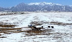Snowfall in Zhangye