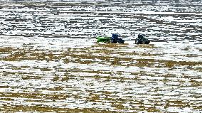 Snowfall in Zhangye