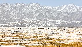 Snowfall in Zhangye