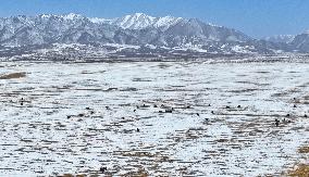 Snowfall in Zhangye