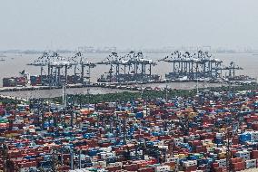 Shanghai Port Foreign Trade Container