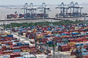 Shanghai Port Foreign Trade Container