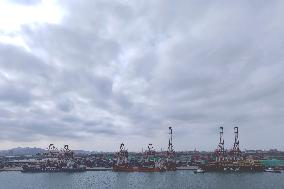 Qingdao Port Foreign Container Trade