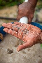 Sustainable Management of Water and Sanitation - Indonesia