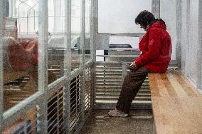 Court chooses precautionary measure for attacker on activist Serhii Sternenko