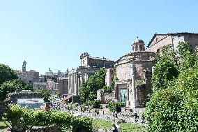Illustration - Rome
