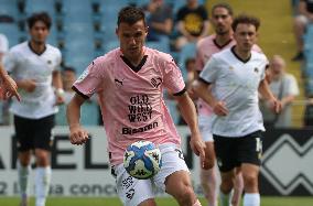 CALCIO - Serie B - Cesena vs Palermo
