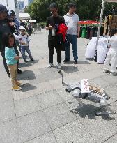 International Coffee Culture Festival in Shanghai