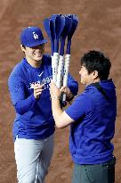 Baseball:Shohei Ohtani