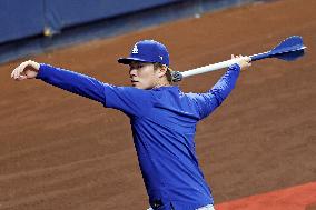 Baseball:Shohei Ohtani
