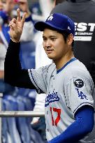 Baseball:Shohei Ohtani
