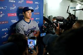 Baseball:Shohei Ohtani
