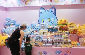 Chinese Youth Goods Economy