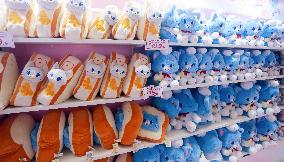 Chinese Youth Goods Economy