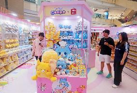 Chinese Youth Goods Economy