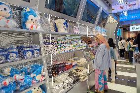 SEGA First Official Flagship Store in Shanghai