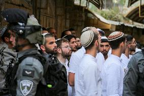Israeli Forces Escort Settlers - Hebron