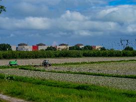 Gravelines Nuclear Power Plant - France