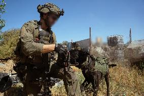 IDF Troops In Gaza - Palestine