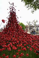 Ceramic red poppies in London