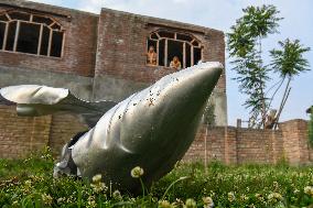 Indian Fighter Jet Crashes in Kashmir Amid Cross-Border Airstrike