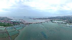 Houhai Cross-Sea Special Bridge Construction