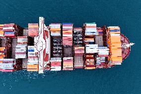 Port Container Trade