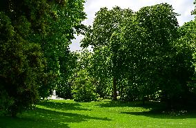 Macron and Merz Discuss in Elysee Garden - Paris