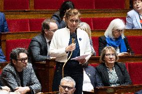 Questions to the government at the National Assembly - Paris