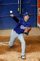 Baseball:Shohei Ohtani