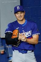 Baseball:Shohei Ohtani