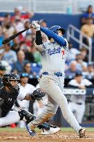 Baseball:Shohei Ohtani