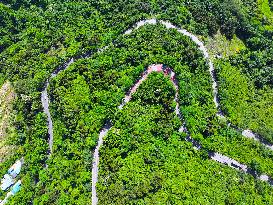 Beautiful Highways in 2025