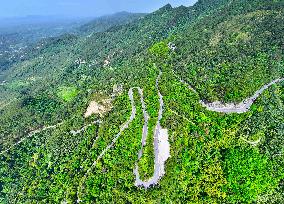 Beautiful Highways in 2025