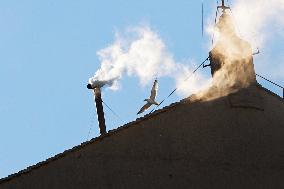 White Smoke Announces The Election Of The New Pope - Vatican
