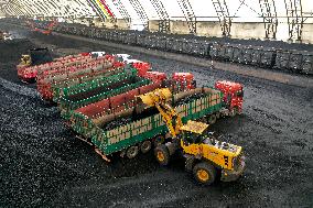 China Coal Production
