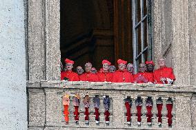 American Robert Francis Prevost Becomes Pope Leo XIV