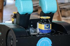RoBee First Cognitive Humanoid For Restoration Unveiled - Milan
