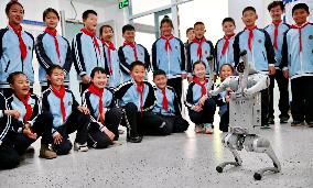 Science and Technology Carnival